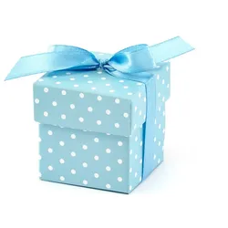 10x Boxen gepunktet, hellblau