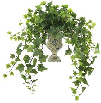 Creative Labs Ivy Arrangement in a Decorative Ceramic Vase - Green