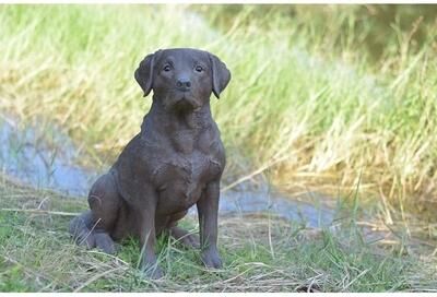 Hi-Line Gift Ltd. Brown Labrador Retriever Sitting