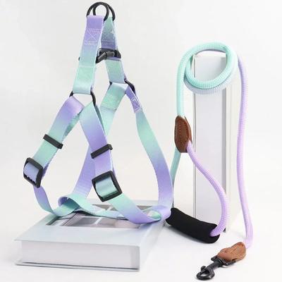 Inspired Living Soft Adjustable Small Dog Harness And Leash Set blue purple l