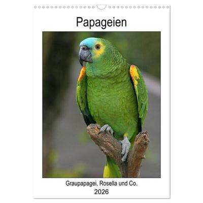 Papageien - Graupapagei, Rosella und Co. (Wandkalender 2026 DIN A3 hoch), CALVENDO Monatskalender