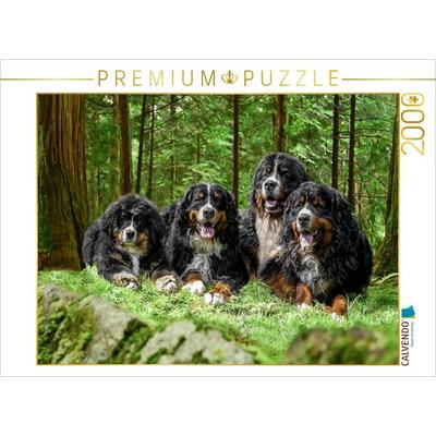 CALVENDO Puzzle Vier Berner Rüden auf Abenteuer | 2000 Teile Lege-Größe 90x67cm Foto-Puzzle für glückliche Stunden