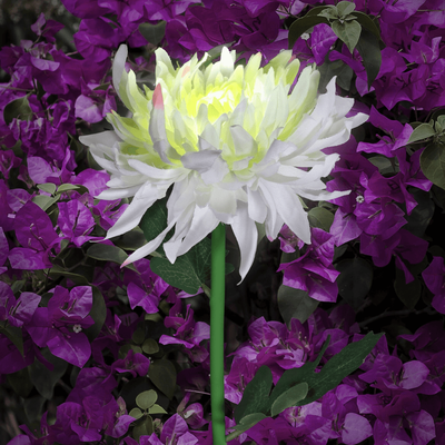 HomeDecorAndMore LLC Chrysanthemum Solar Garden Stake LED White