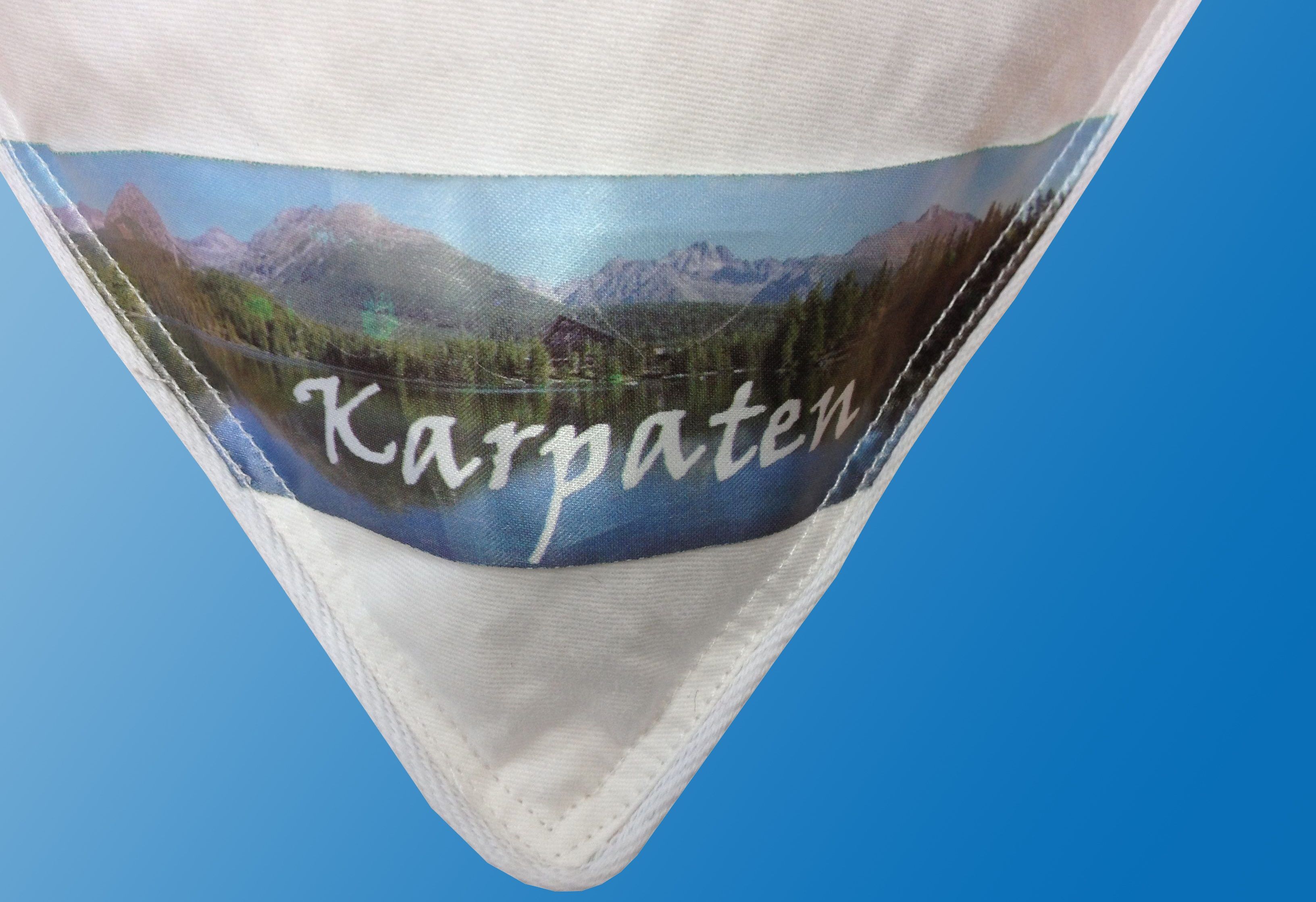 Federkopfkissen DREAMS "Karpaten", weiß, B:80cm L:80cm, Bezug: 100% Baumwolle, Kopfkissen, Federkopfkissen