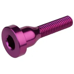 BURGTEC Aluschraube für Top Cap | Purple Rain