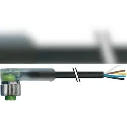 Murrelektronik M12 Buchse gewickelt 7000-12441-6351000