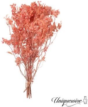 Uniquewise Preserved Real Floral Stems Chic Vase Fillers & Accents for Bouquets Centerpieces & Ornamental Displays