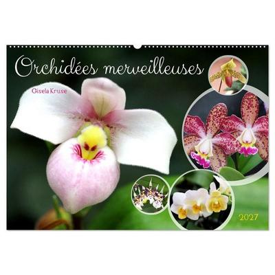 Orchidées merveilleuses (Calendrier mural 2027 DIN A2 vertical), CALVENDO calendrier mensuel