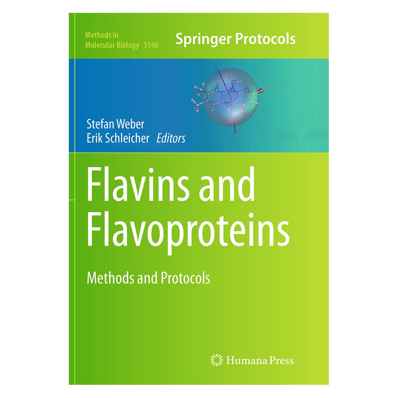 Springer Flavins and Flavoproteins (Englisch, Softcover, Erik Schleicher, Stefan Weber) (55841566)