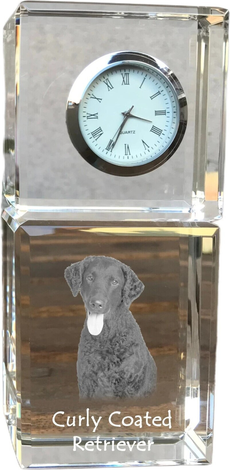 Art-Dog Klok Curly Coated Retriever