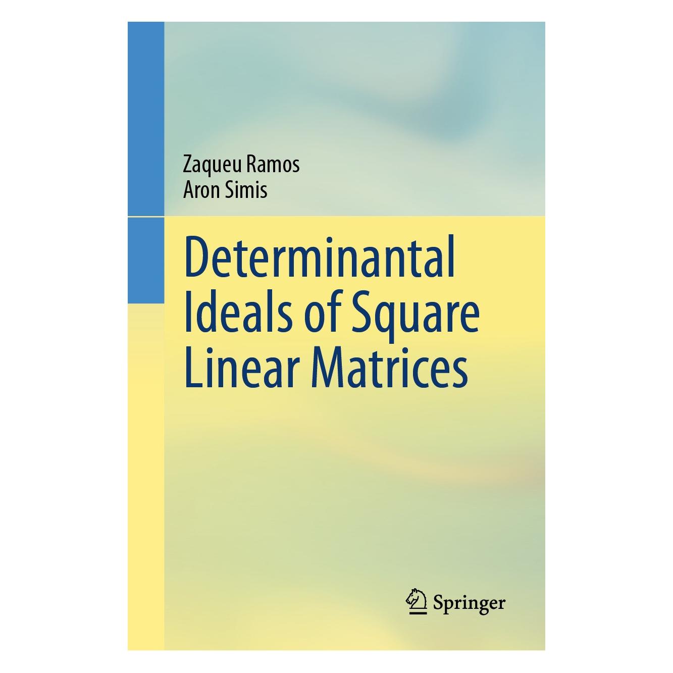 Springer Determinantal Ideals of Square Linear Matrices (Englisch, Hardcover, Aron Simis, Zaqueu Ramos) (9783031552830)
