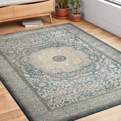 Alexander Home Kendrick Medallion Oriental Distressed Rug