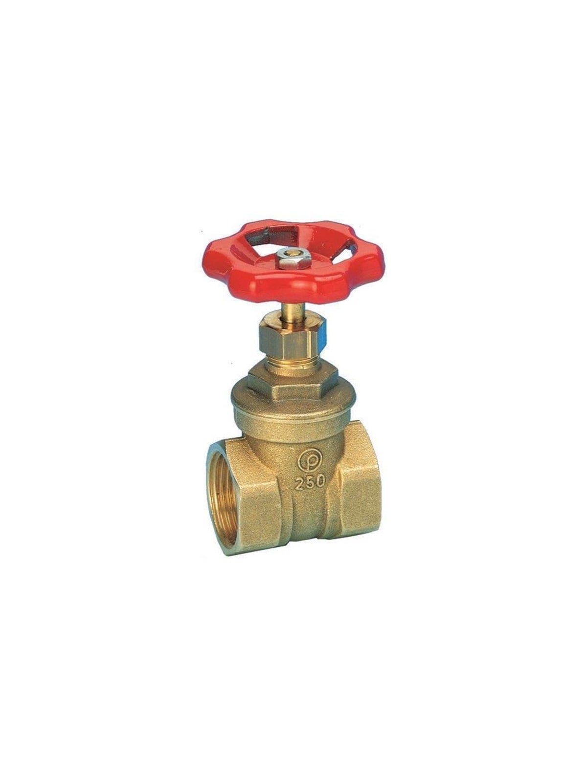 Pettinaroli Brass gate valve 3/4