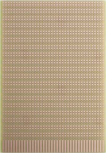 Rademacher WR-Typ 946 Prüfungsplatine Hartpapier (L x B) 16mm x 10mm 35µm Rastermaß 2.54mm Inhalt 1St.