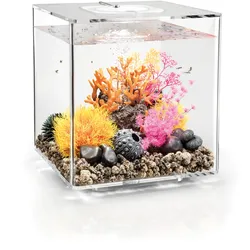 biOrb CUBE 30 MCR transparent (72021)
