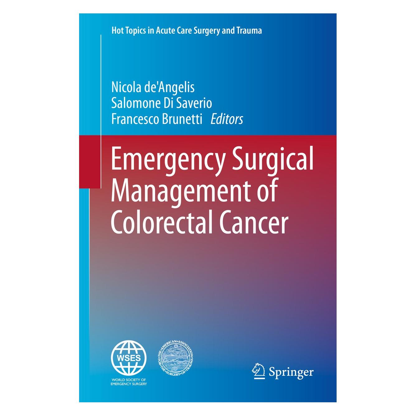 Springer Emergency Surgical Management of Colorectal Cancer (Englisch, Hardcover, Francesco Brunetti, Nicola de'Angelis, Salomone di Saverio) (9783030062248)