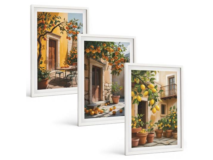 BILDER SET 3er Set - 40x60 cm Weißer Rahmen - Zitrusfrüchte, Hofpflanzen
