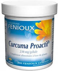 Fenioux Proactif Turmeric 230 mg 90 Capsules