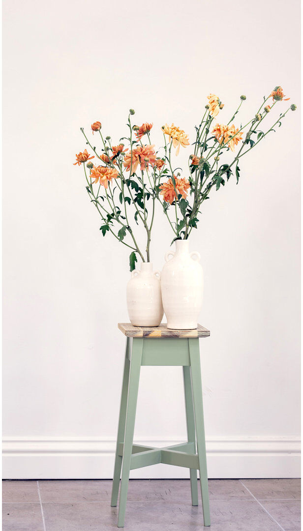 Ophelia & Co. Decatur Solid Wood Pine Plant Stand 2 Tier Sage Green H50 x L24 x D24cm