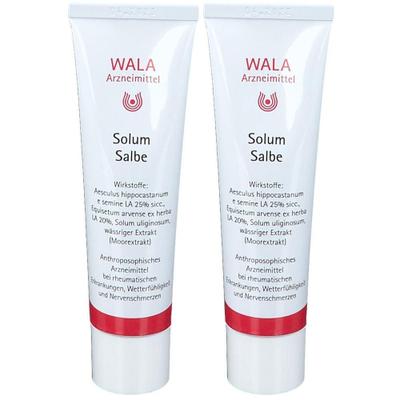 Solum Salbe 2x 2x30 g
