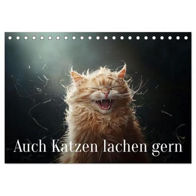 Auch Katzen lachen gern (Tischkalender 2026 DIN A5 quer), CALVENDO Monatskalender