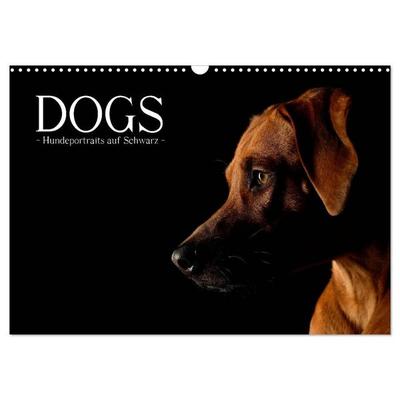 Dogs (Wandkalender 2026 DIN A3 quer), CALVENDO Monatskalender