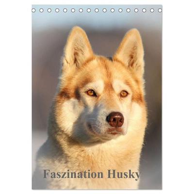 Faszination Husky (Tischkalender 2026 DIN A5 hoch), CALVENDO Monatskalender