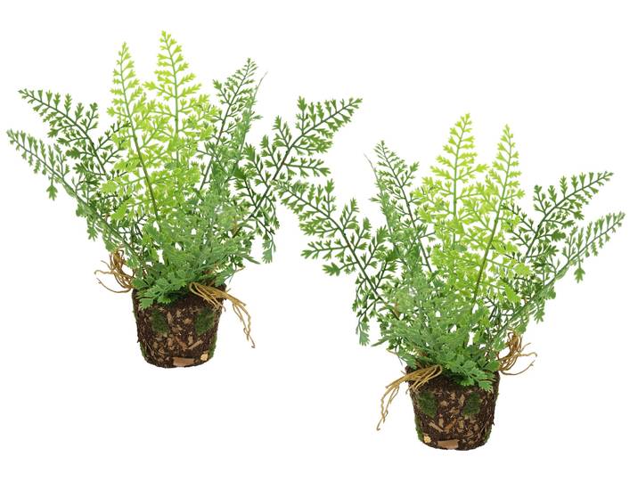Kunstpflanze I.GE.A. Künstlicher Waldfarn im Topf , grün, B:14cm H:24cm L:12cm, Kunststoff, Kunstpflanzen, Kunstpflanze, 2er Set Farn Büsche Pflanze Deko Grünpflanze Waldpflanze Zimmerpflanze