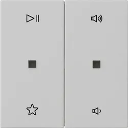 Gira Wippe 2f Audiostrg 5384015