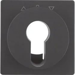 Berker Zentralstück anth/sa 15066086