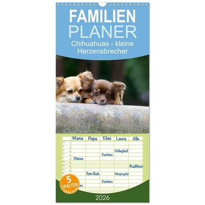 Familienplaner 2026 - Chihuahuas - kleine Herzensbrecher mit 5 Spalten (Wandkalender, 21 x 45 cm) CALVENDO