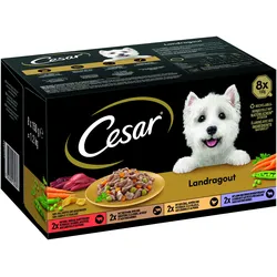 Cesar Multipack Landragout 3x1.2 kg