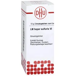 Hepar Sulfuris LM VI Globuli 5 g