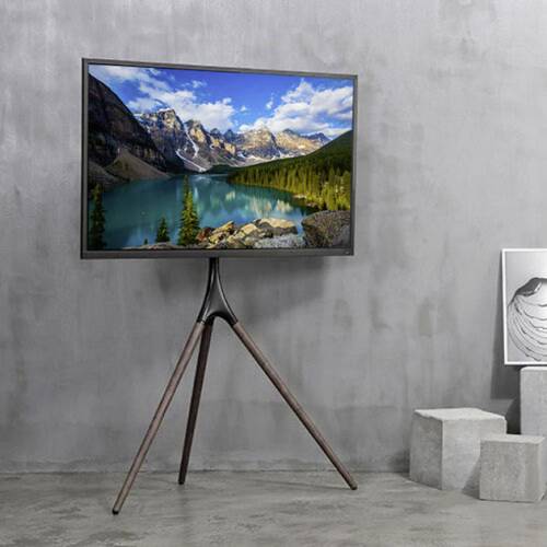 TECHly ICA-TR18SAM TV-Standfuß 114,3 cm (45") - 165,1 cm (65") Starr