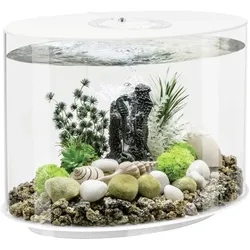 Oase biOrb 86415 biOrb LOOP 30 LED weiss Aquarium EEK: G (A - G) 30l mit LED-Beleuchtung, Aquariumbeleuchtung