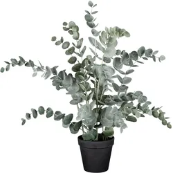Kunstpflanze Eucalypthus II Grau/Grün ca. 53cm