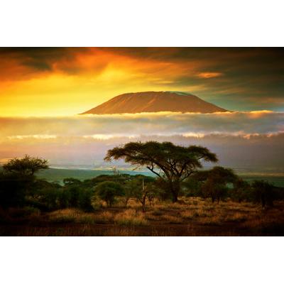 Fototapete PAPERMOON "Mount Kilimanjaro and Clouds", bunt, B:2m L:1,49m, Vlies, Tapeten
