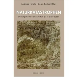 Naturkatastrophen, Sachbücher von Andreas Höfele, Christine Göttler, Friedrich Vollhardt, Ulrich Pfisterer, Beate Kellner