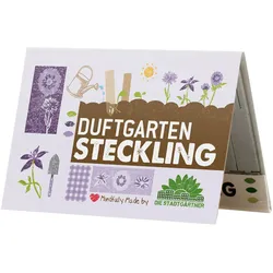 Duftgarten Steckling - Karte mit 10 Saatgut Stiften zum Einpflanzen - Einfache Anwendung für neue Geruchsexplosionen - ideal als Geschenk & Mitbringsel