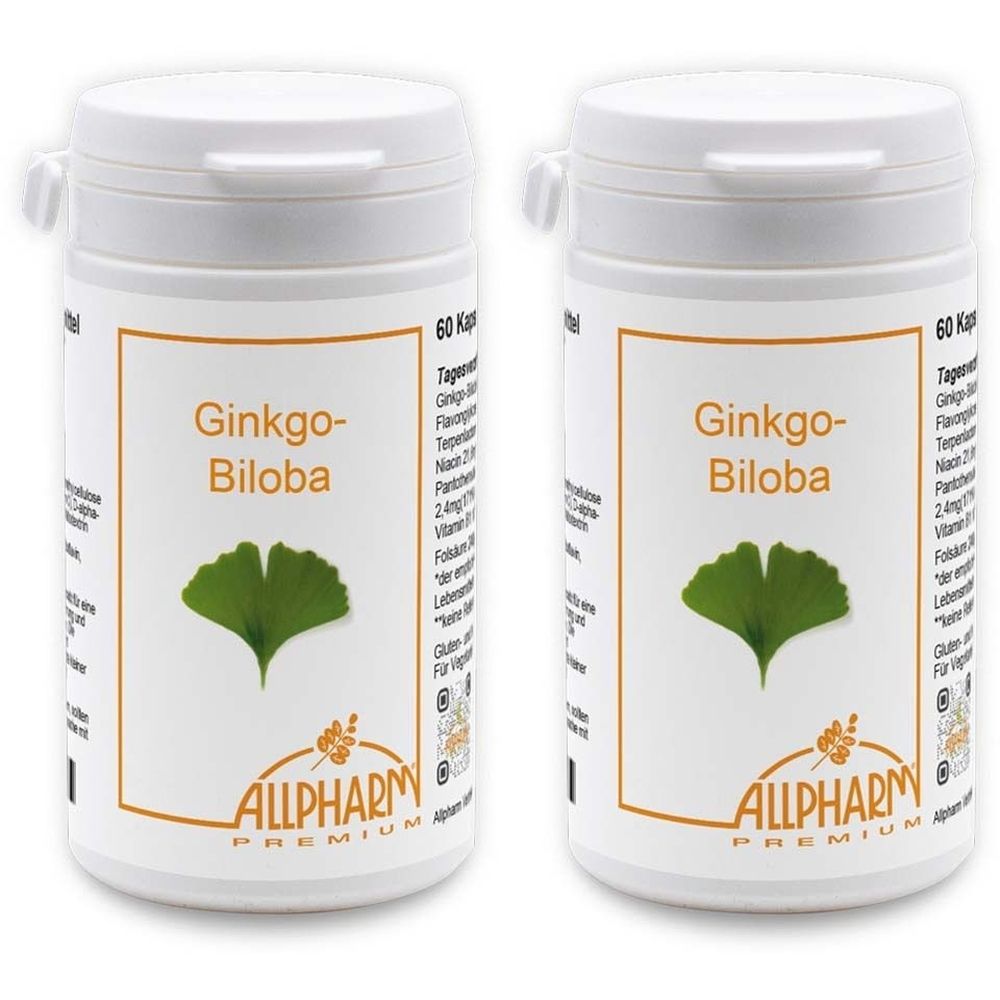 Ginkgo Biloba Kapseln 2x 2x60 St