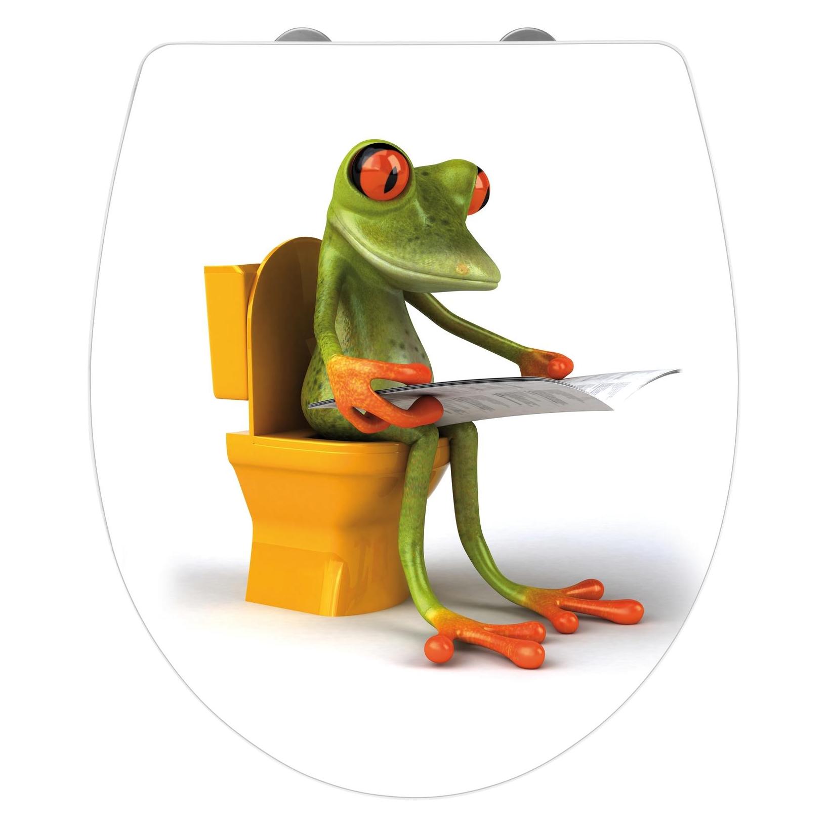 Wenko Frog News (21758100)