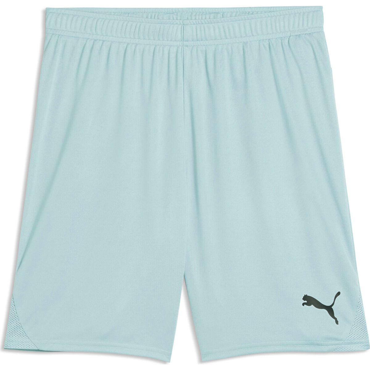 Puma Teamgoal Shorts modern mint (41) 3XL 705752-41-3XL