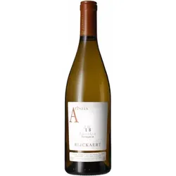 Arbois Savagnin 2023 - Jean Rijckaert
