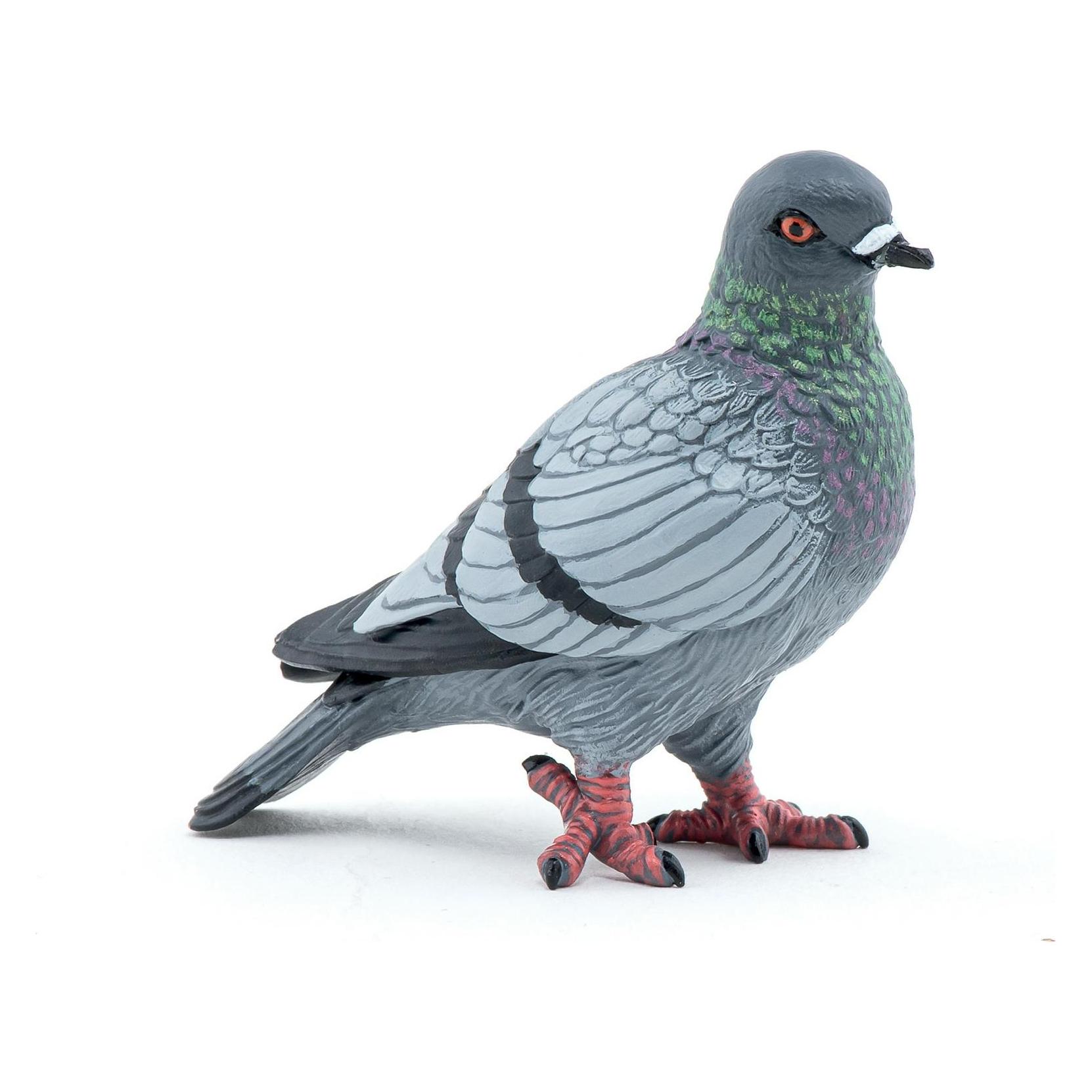 Papo Taube (50295)