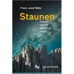Staunen, Fachbücher von Franz Josef Wetz