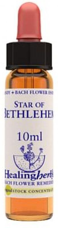 NATUR Srl STAR OF BET ESS 10MLINGL HERBS