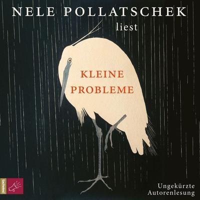 Kleine Probleme - Nele Pollatschek, Audio, 9783864848186