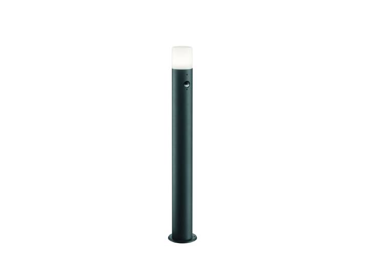 Potelet de jardin à détecteur de présence Hoosic 80 cm