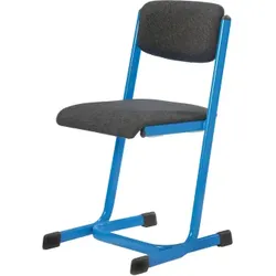 Lehrerstuhl mit Sitz- und Rückenpolster