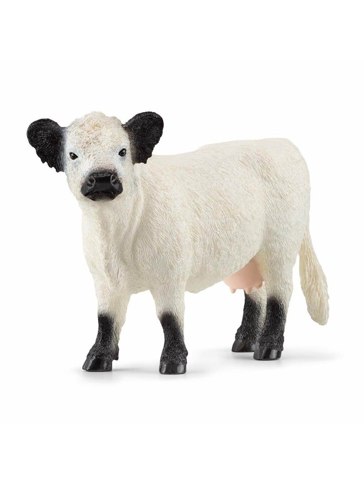 Schleich Galloway Kuh